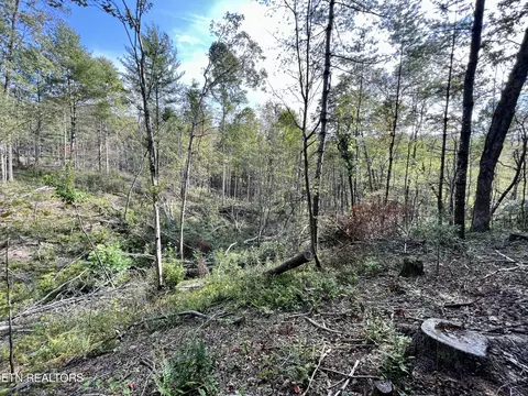 T Cooper Rd, Lancing, TN 37770 photo 32