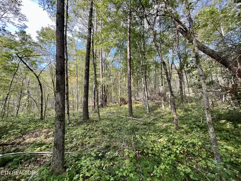 T Cooper Rd, Lancing, TN 37770 photo 35