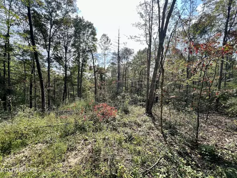 T Cooper Rd, Lancing, TN 37770 photo 29