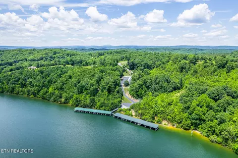Rivermyst Drive, Spring City, TN 37381