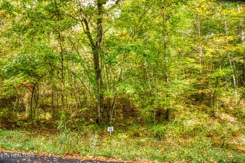 Lot 11 Old Mount Helen Rd, Allardt, TN 38504