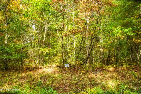 Lot 12 Old Mount Helen Rd, Allardt, TN 38504