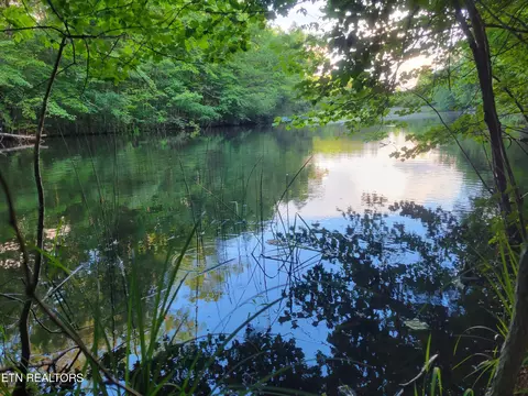 Willow Place, Monterey, TN 38574