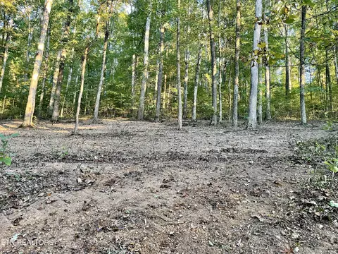 Johnson Valley Rd, Philadelphia, TN 37846