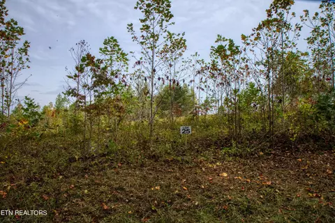 Lot 25 Zenith Rd, Allardt, TN 38504