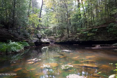 Peter Cave Rd, Whitwell, TN 37397