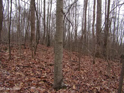 25 12ac Buzzard Roost Rd, Jamestown, TN 38556