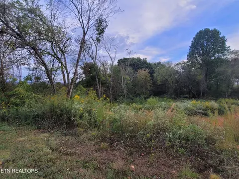 Sunflower Circle, Sweetwater, TN 37874