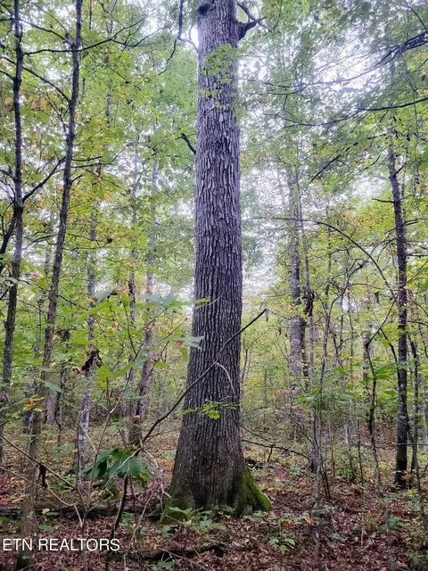 Cumberland Lakes Drive, Monterey, TN 38574