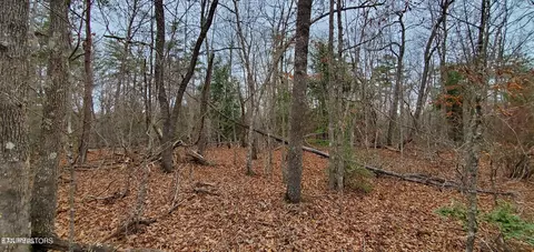 Laurel Loop, Monterey, TN 38574 photo 4