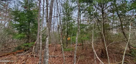 Laurel Loop, Monterey, TN 38574 photo 5