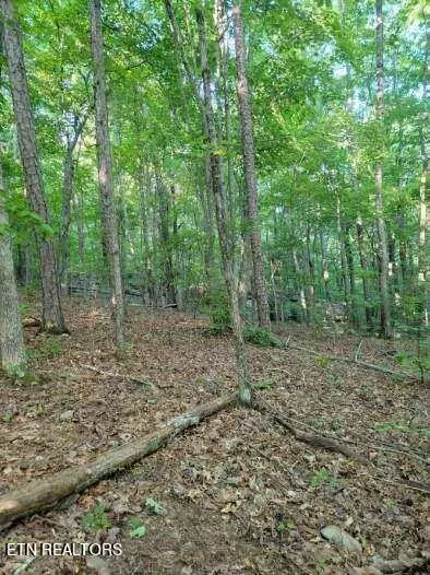 4 Martin Ln, Palmer, TN 37365