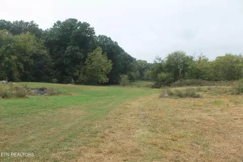 18 R1 Rhodes Rd, New Market, TN 37820