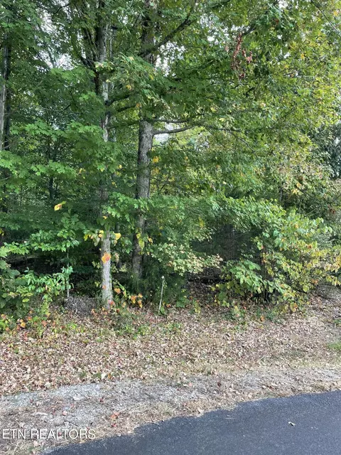 358 Dudala Trce, Loudon, TN 37774