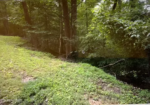 Cumberland View Estates, Rocky Top, TN 37769
