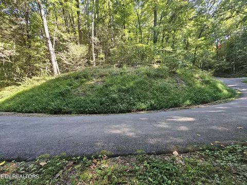 lot0176 Tsali Dr, Sevierville, TN 37876