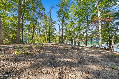 Bankwood Lane, La Follette, TN 37766