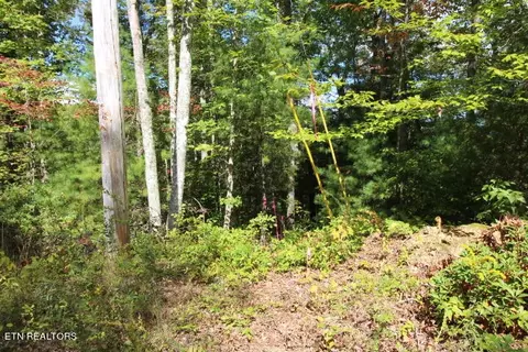 lot6 Taylors Ridge Rd, Walland, TN 37886
