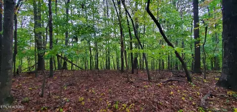 Belmont Circle, Monterey, TN 38574