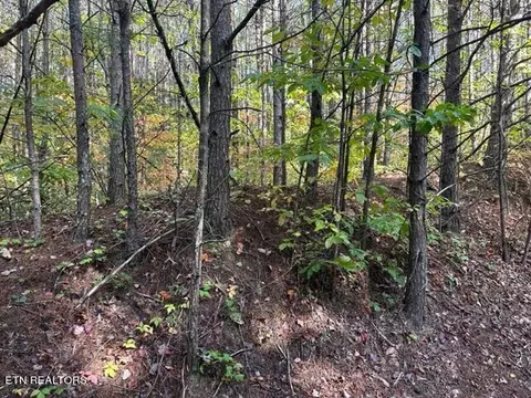 Stonegate Way, Townsend, TN 37882 photo 3