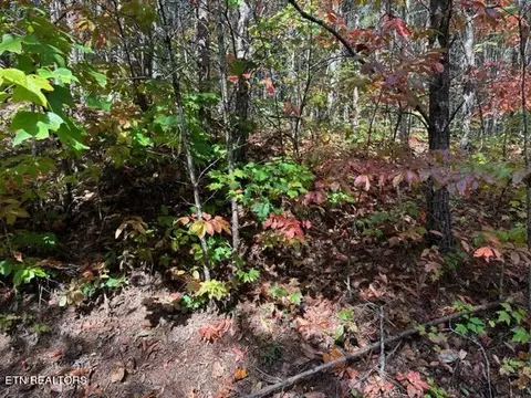 Stonegate Way, Townsend, TN 37882 photo 2