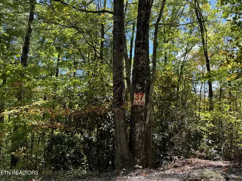 Lot 37 Joy Way, Hartford, TN 37753