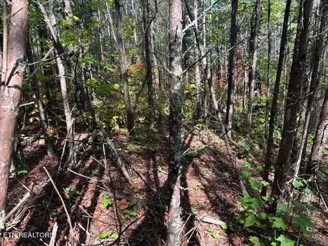 Stonegate Way, Townsend, TN 37882 photo 2