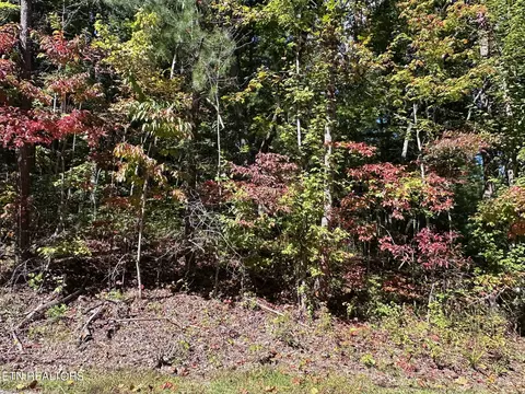 Lot 33 Bear Rd, Tallassee, TN 37878