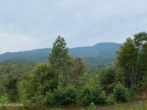 1570 Meadow Flds, Del Rio, TN 37727
