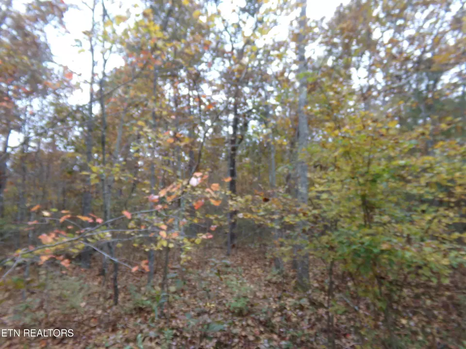  1017 Hileah Dr, Crossville, TN 38572 photo 6