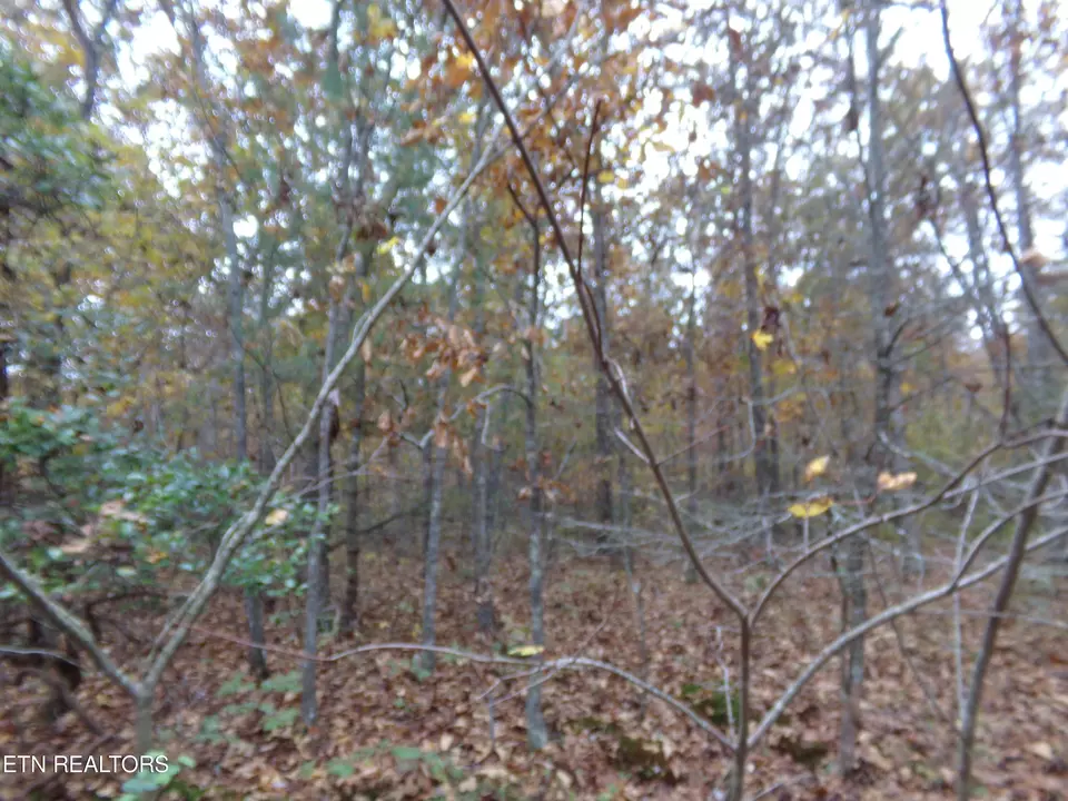  1017 Hileah Dr, Crossville, TN 38572 photo 2