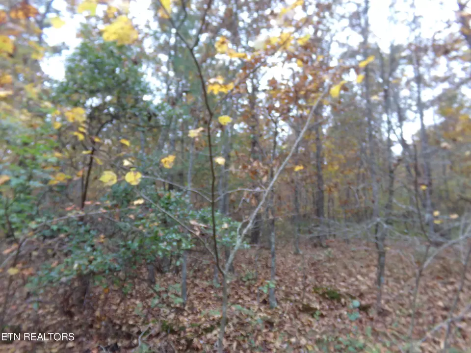  1017 Hileah Dr, Crossville, TN 38572 photo 4