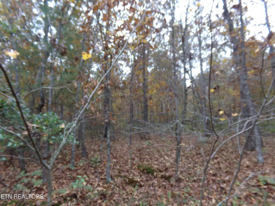  1017 Hileah Dr, Crossville, TN 38572 photo 3