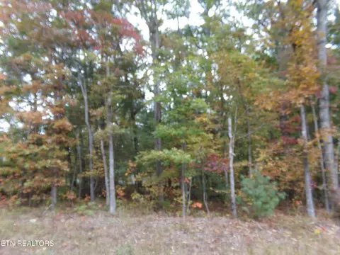 9029 Walla Walla Trce, Crossville, TN 38572