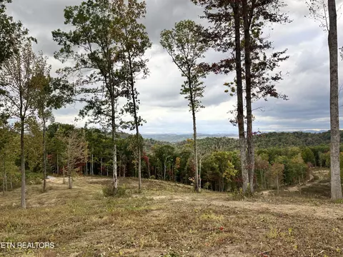 Little Sycamore Rd, Tazewell, TN 37879