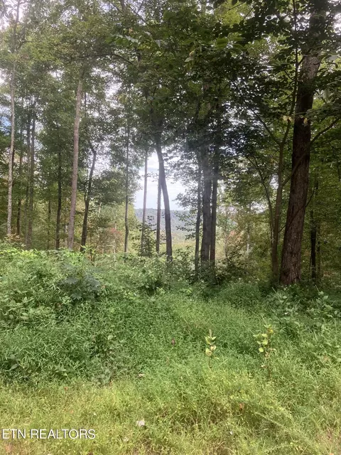 2900 Bryant Ridge Road Rd, Baxter, TN 38544