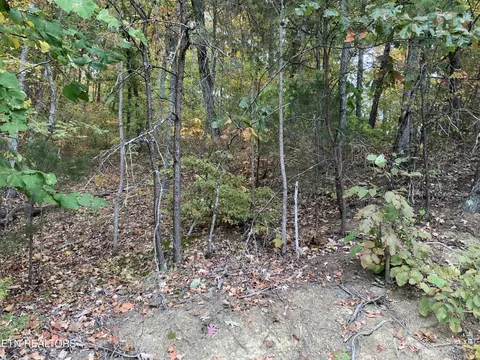 87 Norris Shores Drive, Sharps Chapel, TN 37866