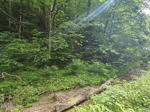 Lot 6 Hidden Hollow Way, Sevierville, TN 37862