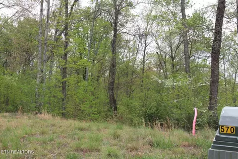 lot570 S Two Rivers Ln, La Follette, TN 37766