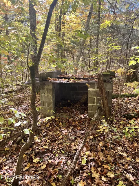Atkins Rd, Luttrell, TN 37779 photo 20