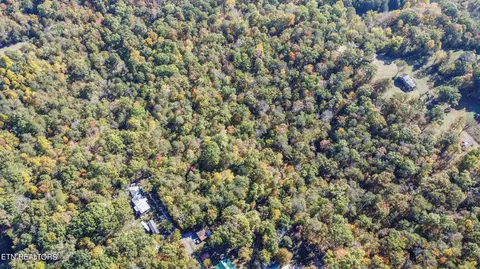 Atkins Rd, Luttrell, TN 37779 photo 6