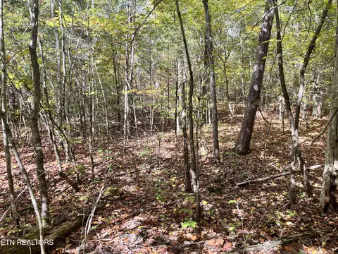 Atkins Rd, Luttrell, TN 37779 photo 17