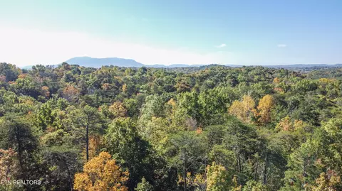 Atkins Rd, Luttrell, TN 37779 photo 9