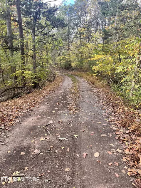 Atkins Rd, Luttrell, TN 37779 photo 22