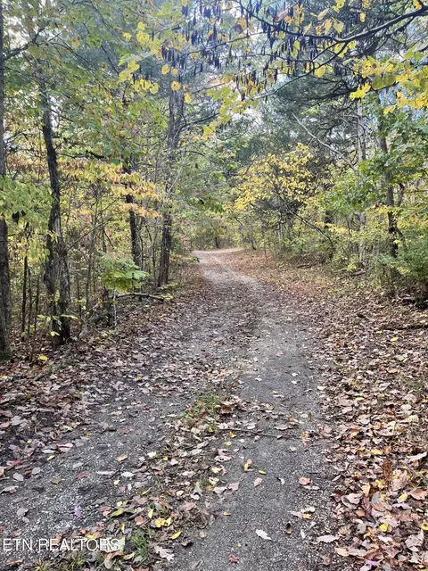 Atkins Rd, Luttrell, TN 37779 photo 13