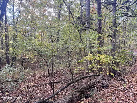 Atkins Rd, Luttrell, TN 37779 photo 15