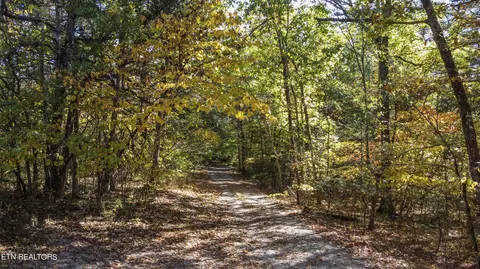Atkins Rd, Luttrell, TN 37779 photo 10