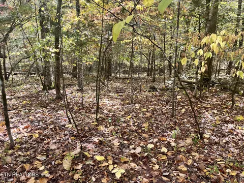 Atkins Rd, Luttrell, TN 37779 photo 18