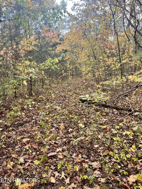 Atkins Rd, Luttrell, TN 37779 photo 19