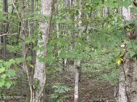 W Laurel Way, Monterey, TN 38574